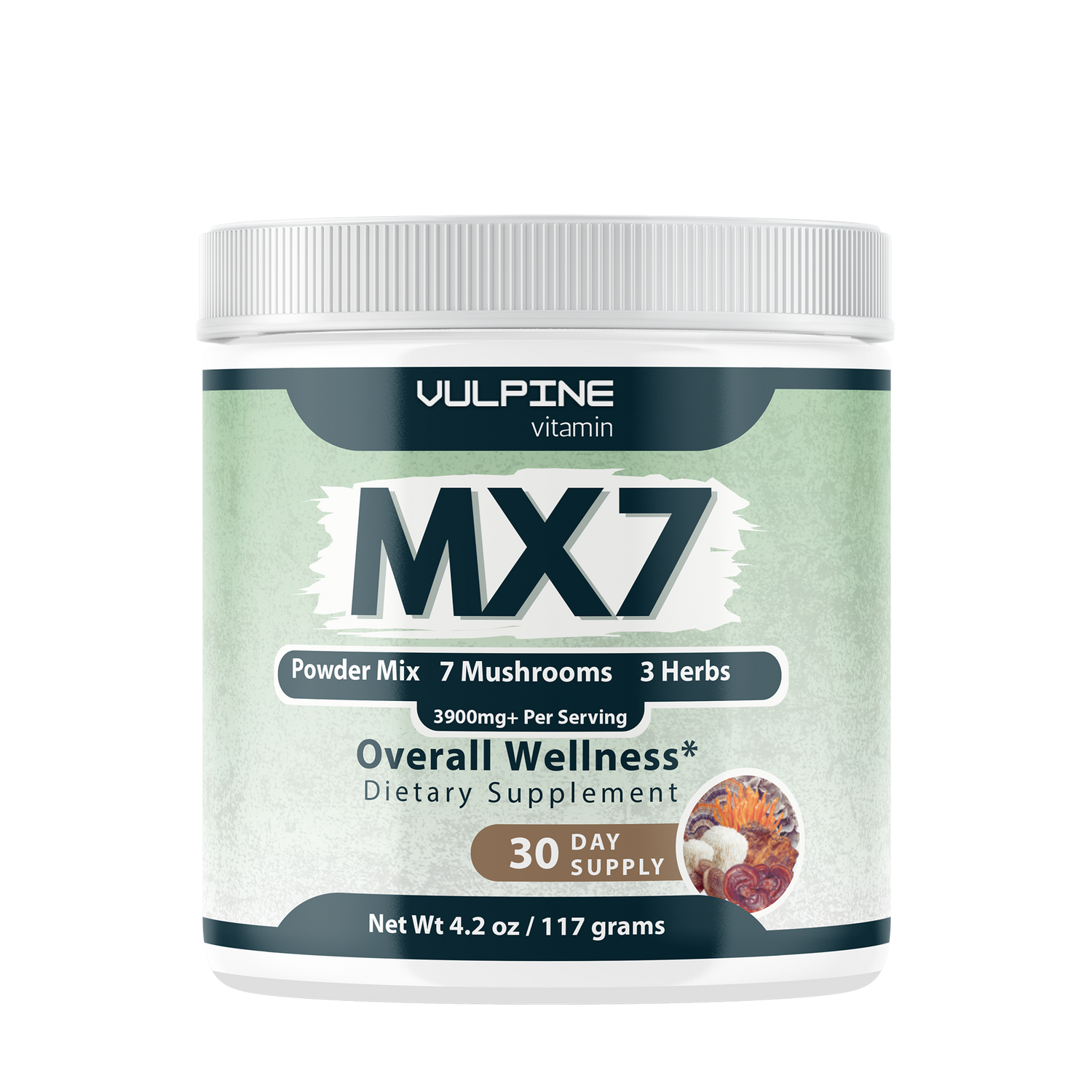 MX7: Your New Daily Essential