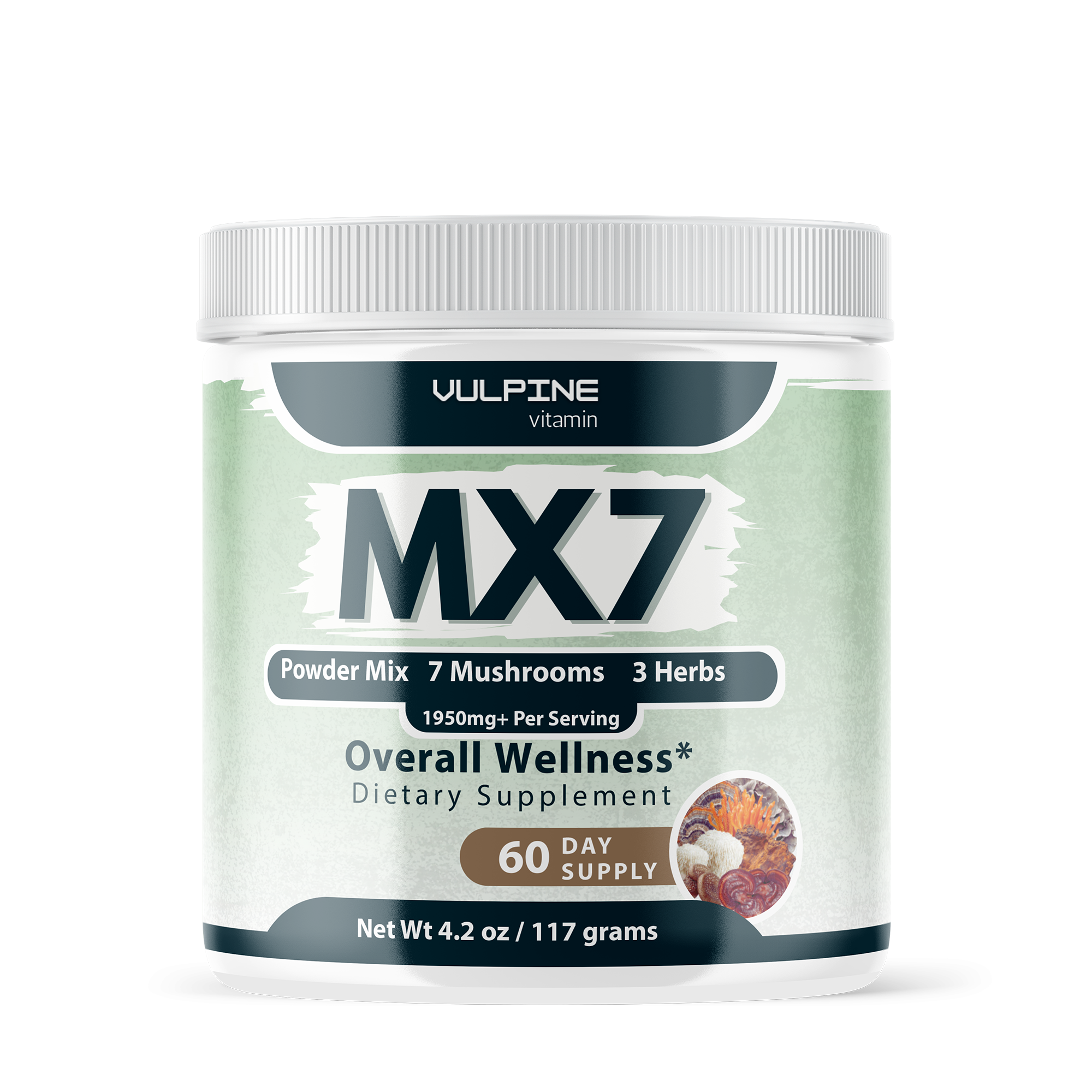 MX7: Your New Daily Essential