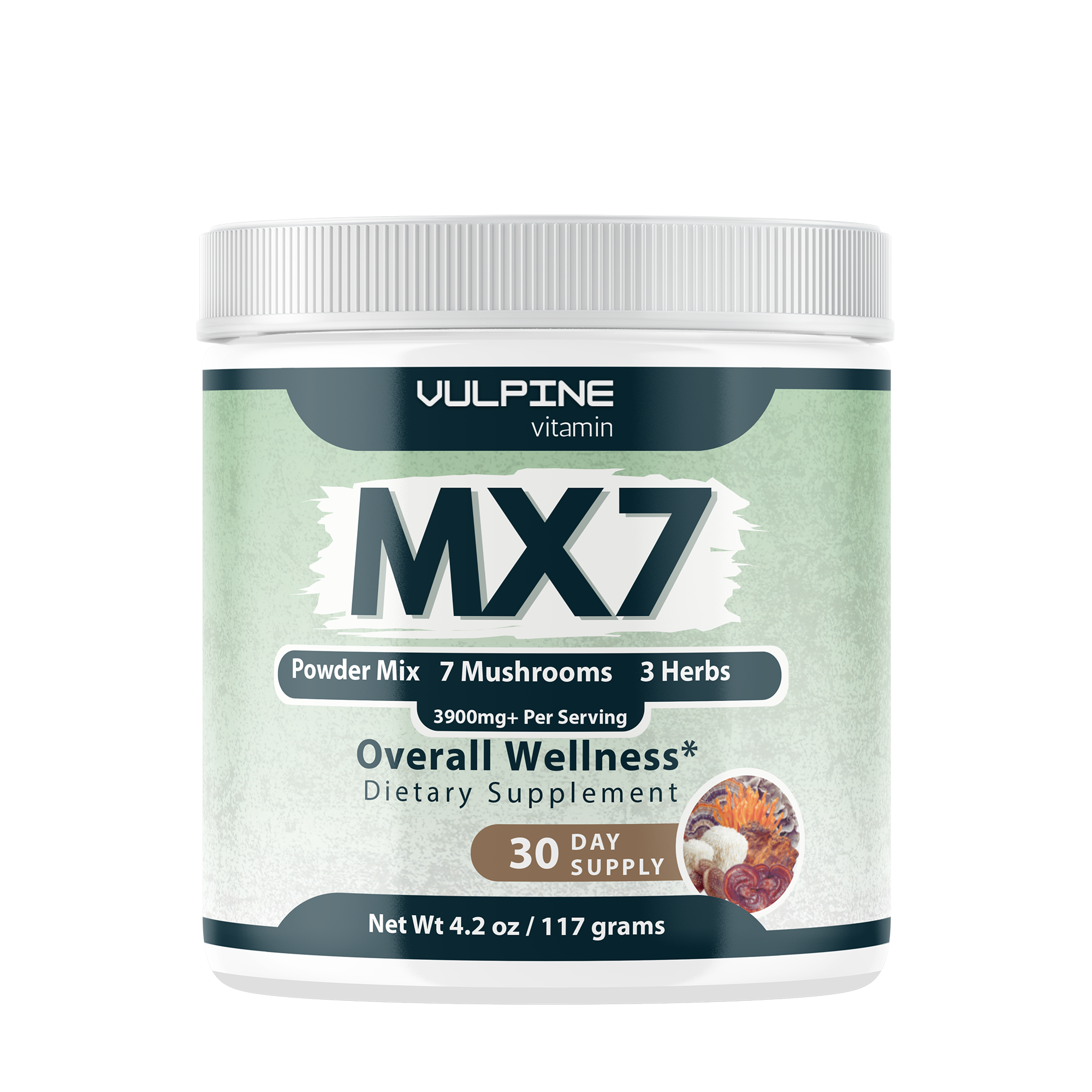 MX7: Your New Daily Essential